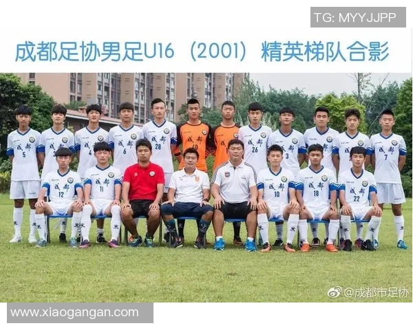 北京足球队近期表现分析与未来发展趋势探讨