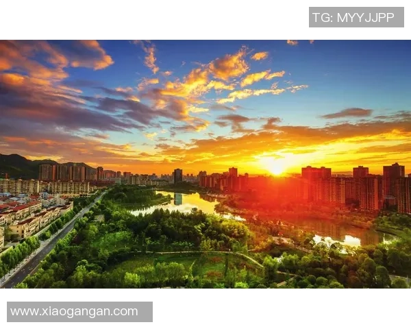 重庆排球队中路突破革新引领战术变革与未来发展探讨