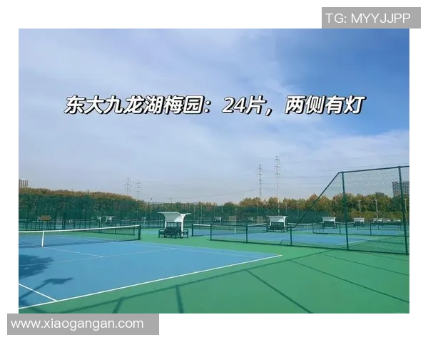 南京网球队荣登全国网球技术排行榜第三名展现实力与潜力 南京网球队荣登全国网球技术排行榜第三名展现实力与潜力