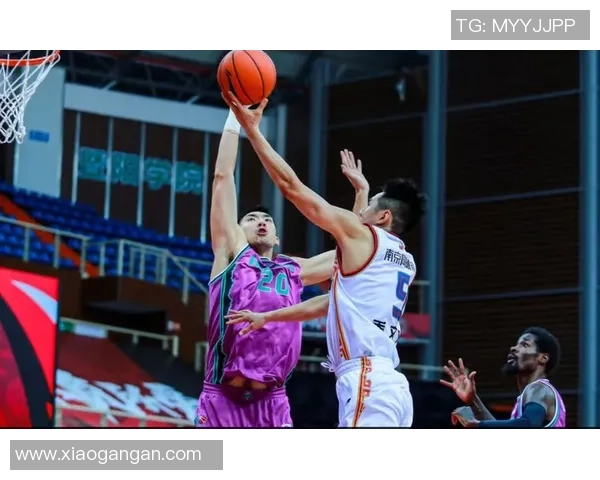 南京排球队耐力赛场表现评析与未来展望