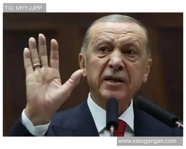 土耳其足球明星言论引发争议中土文化交流面临挑战