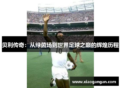 贝利传奇：从绿茵场到世界足球之巅的辉煌历程