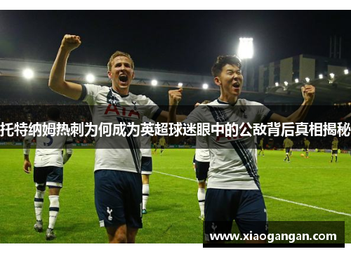 托特纳姆热刺为何成为英超球迷眼中的公敌背后真相揭秘