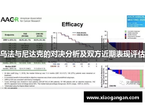 乌法与尼达克的对决分析及双方近期表现评估