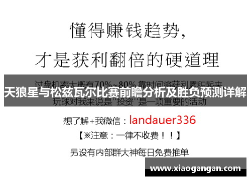 天狼星与松兹瓦尔比赛前瞻分析及胜负预测详解