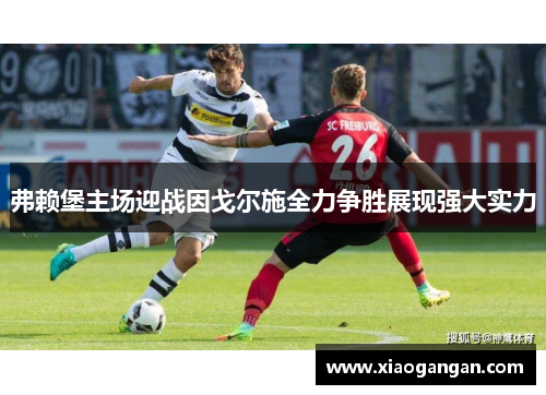弗赖堡主场迎战因戈尔施全力争胜展现强大实力